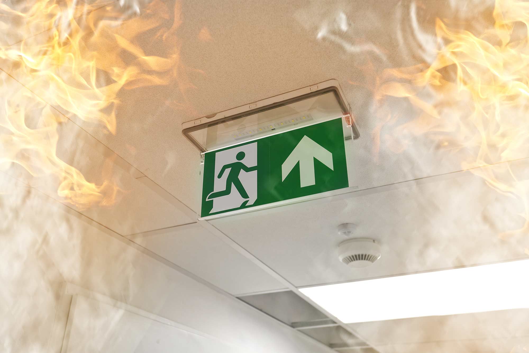 Get your Exit and Emergency lights checked with Checkmate Safety.